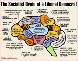 Liberal_Brain