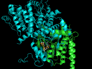 1xbb_proteins