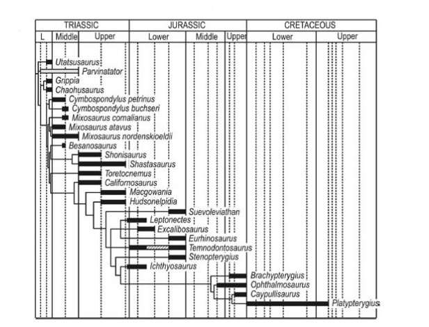 ichthyosaur cladogram